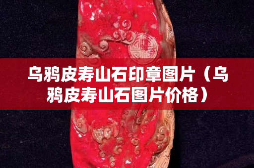 乌鸦皮寿山石印章图片（乌鸦皮寿山石图片价格）