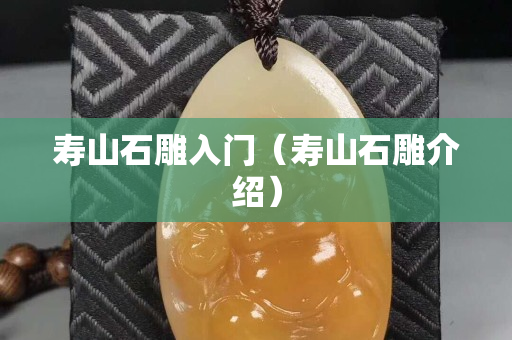 寿山石雕入门（寿山石雕介绍）