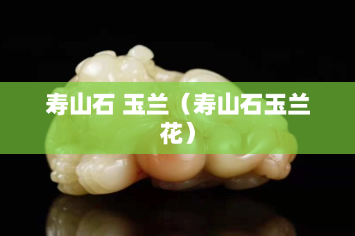 寿山石 玉兰（寿山石玉兰花）