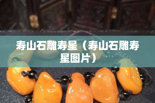 寿山石雕寿星（寿山石雕寿星图片）