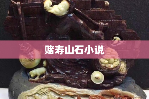 赌寿山石小说