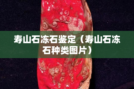 寿山石冻石鉴定（寿山石冻石种类图片）