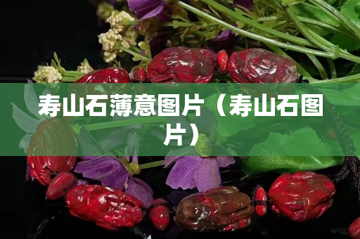 寿山石薄意图片（寿山石图片）