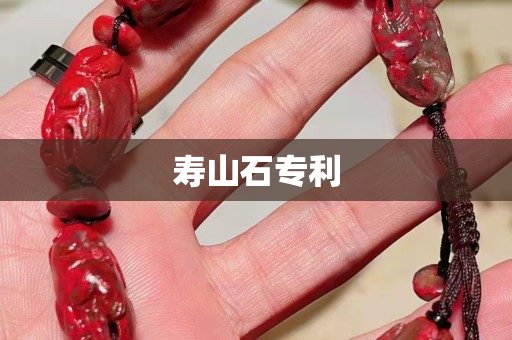 寿山石专利