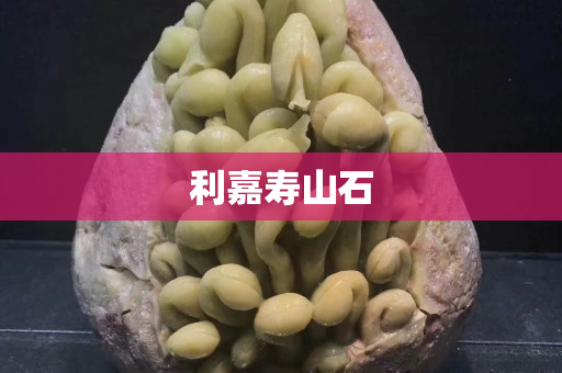 利嘉寿山石