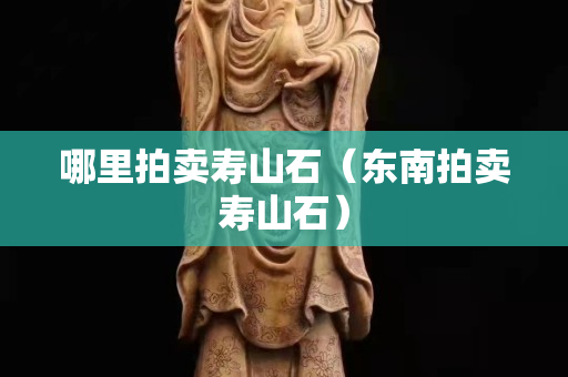 哪里拍卖寿山石（东南拍卖寿山石）