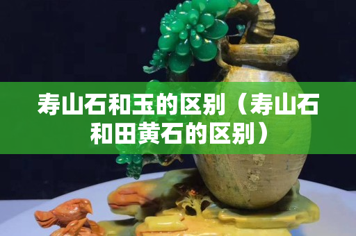 寿山石和玉的区别（寿山石和田黄石的区别）
