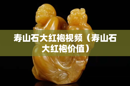 寿山石大红袍视频（寿山石大红袍价值）