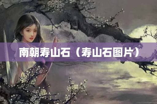 南朝寿山石（寿山石图片）