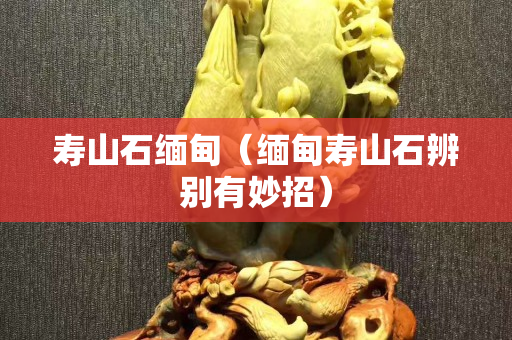 寿山石缅甸（缅甸寿山石辨别有妙招）