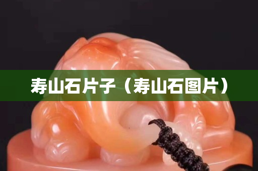 寿山石片子（寿山石图片）