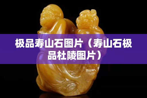 极品寿山石图片（寿山石极品杜陵图片）