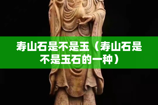 寿山石是不是玉（寿山石是不是玉石的一种）