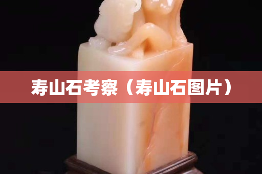 寿山石考察（寿山石图片）