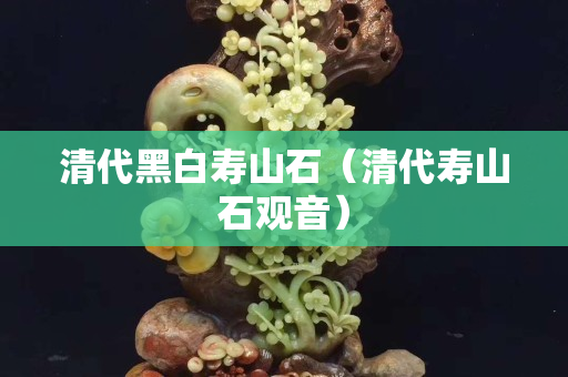 清代黑白寿山石（清代寿山石观音）