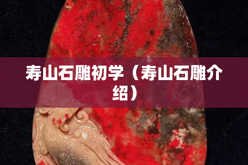 寿山石雕初学（寿山石雕介绍）