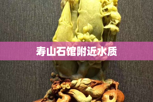 寿山石馆附近水质