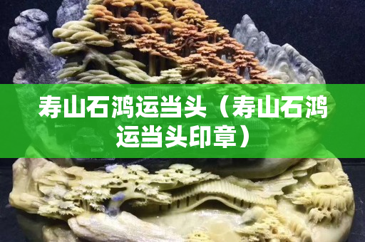寿山石鸿运当头（寿山石鸿运当头印章）