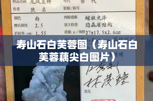 寿山石白芙蓉图（寿山石白芙蓉藕尖白图片）