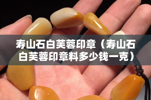 寿山石白芙蓉印章（寿山石白芙蓉印章料多少钱一克）
