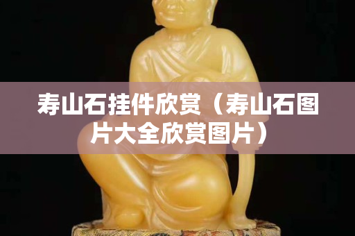 寿山石挂件欣赏（寿山石图片大全欣赏图片）