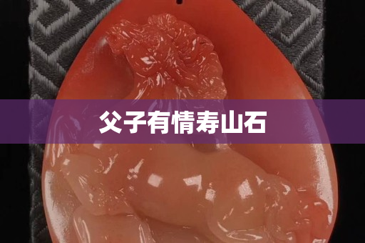 父子有情寿山石
