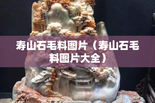 寿山石毛料图片（寿山石毛料图片大全）