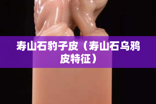寿山石豹子皮（寿山石乌鸦皮特征）
