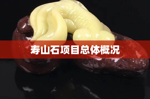 寿山石项目总体概况