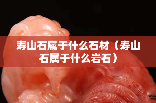 寿山石属于什么石材（寿山石属于什么岩石）