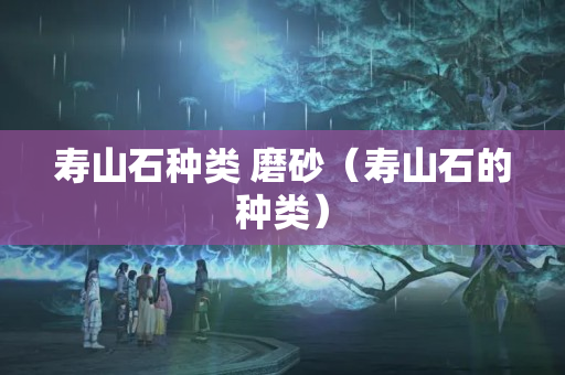 寿山石种类 磨砂（寿山石的种类）