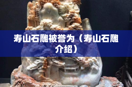 寿山石雕被誉为（寿山石雕介绍）