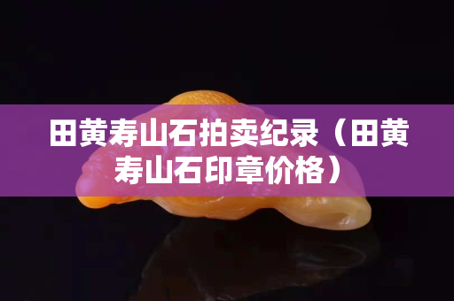 田黄寿山石拍卖纪录（田黄寿山石印章价格）