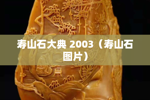 寿山石大典 2003（寿山石图片）