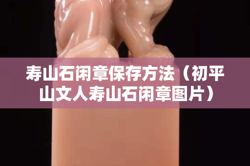 寿山石闲章保存方法（初平山文人寿山石闲章图片）