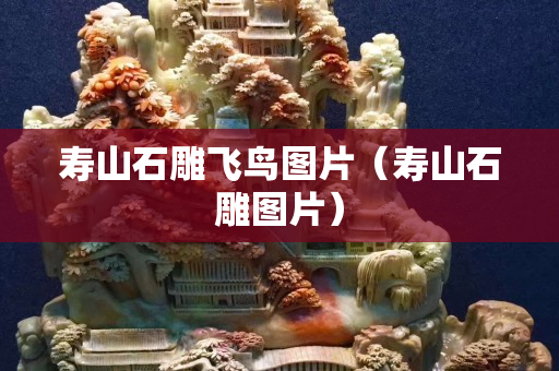 寿山石雕飞鸟图片（寿山石雕图片）