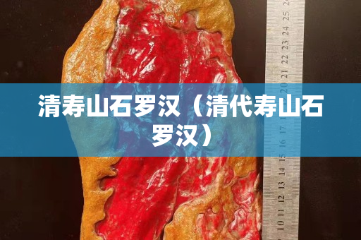 清寿山石罗汉（清代寿山石罗汉）