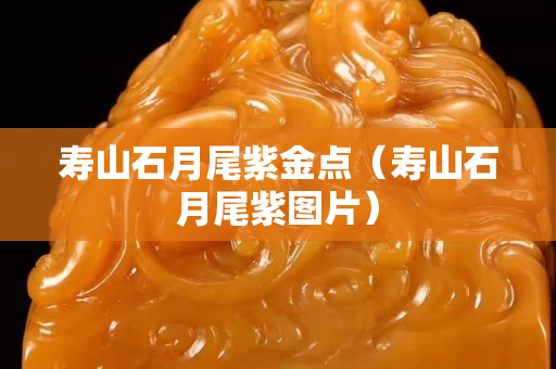 寿山石月尾紫金点（寿山石月尾紫图片）