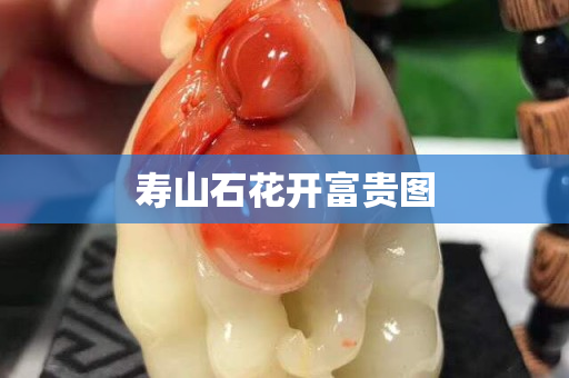寿山石花开富贵图