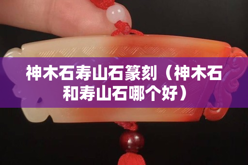 神木石寿山石篆刻（神木石和寿山石哪个好）