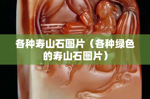 各种寿山石图片（各种绿色的寿山石图片）