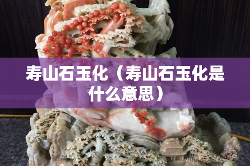 寿山石玉化（寿山石玉化是什么意思）