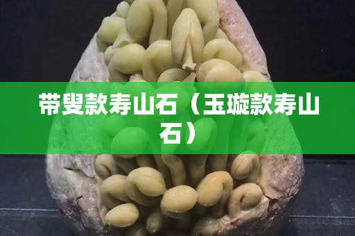 带叟款寿山石（玉璇款寿山石）