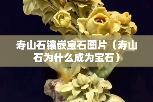 寿山石镶嵌宝石图片（寿山石为什么成为宝石）