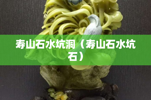 寿山石水坑洞（寿山石水坑石）