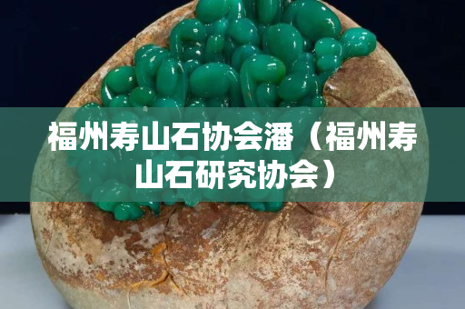 福州寿山石协会潘（福州寿山石研究协会）