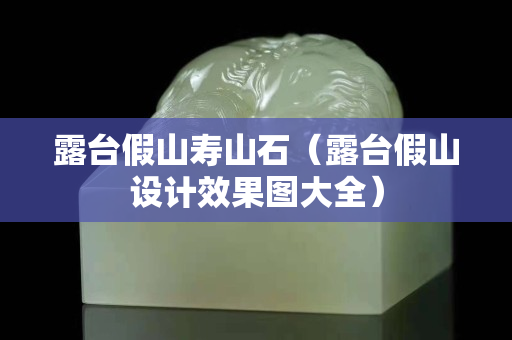 露台假山寿山石（露台假山设计效果图大全）