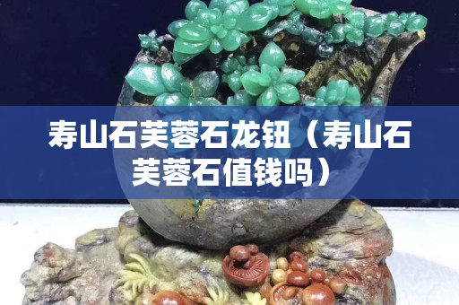 寿山石芙蓉石龙钮（寿山石芙蓉石值钱吗）