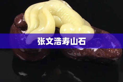 张文浩寿山石
