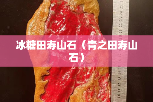 冰糖田寿山石（青之田寿山石）